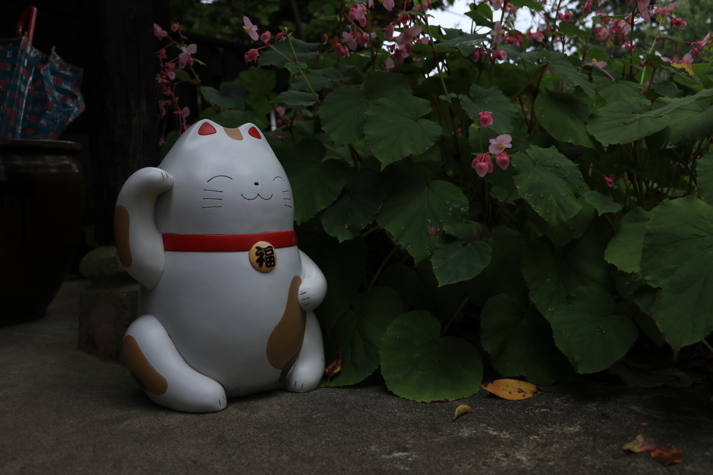 しっとり招き猫