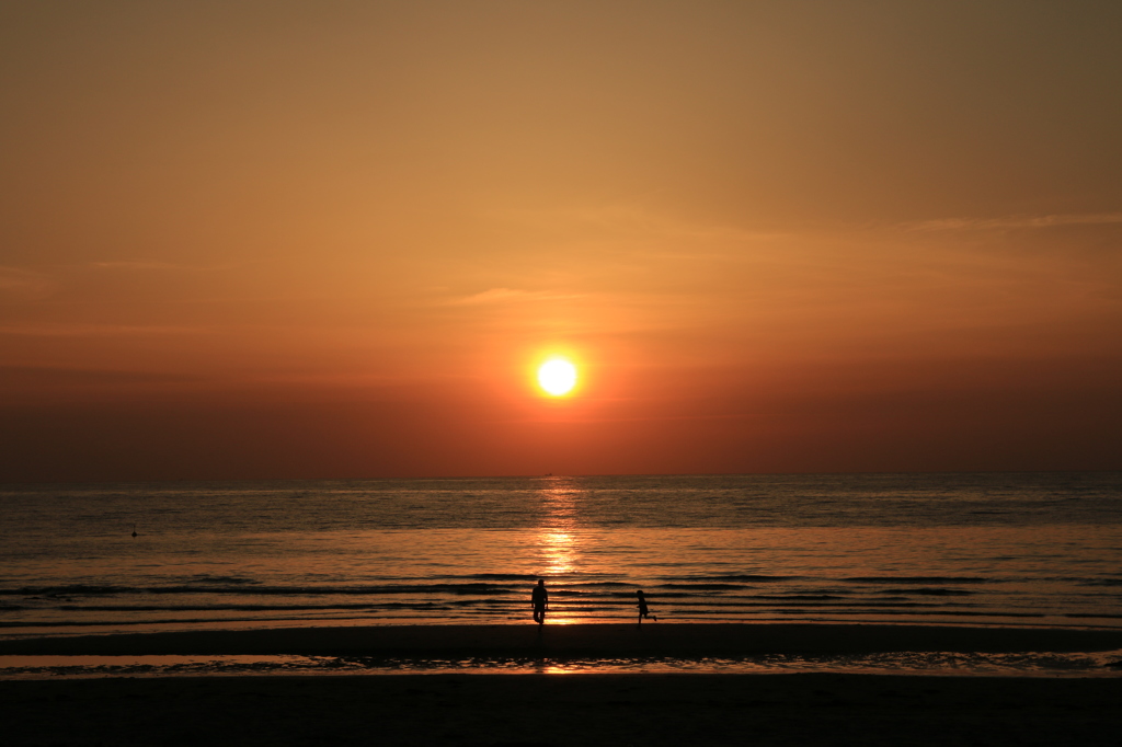 若松の夕日