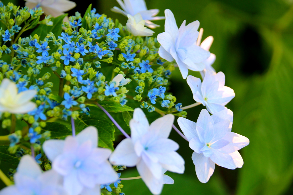 20150521_003