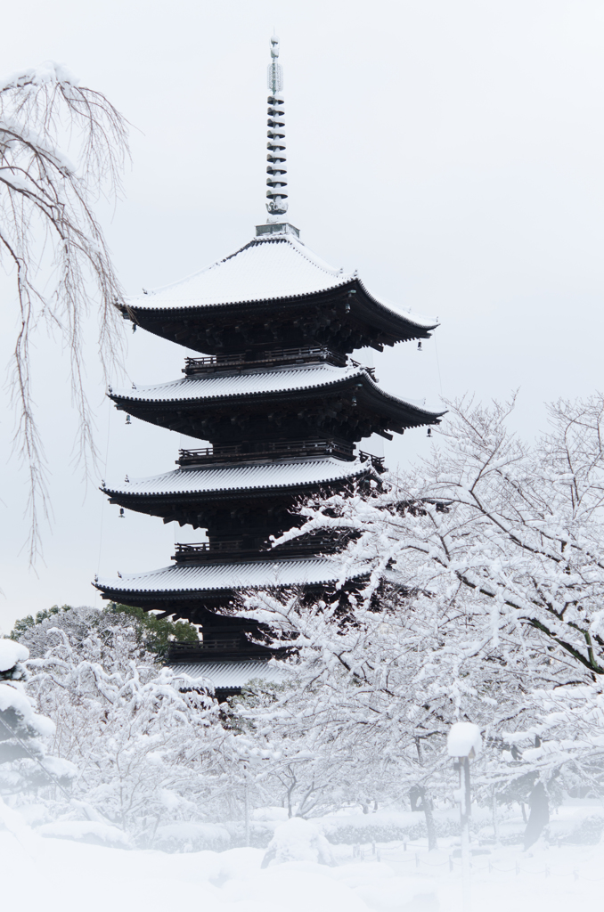 東寺