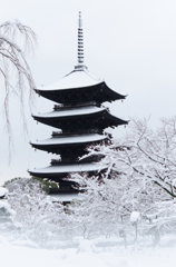 東寺