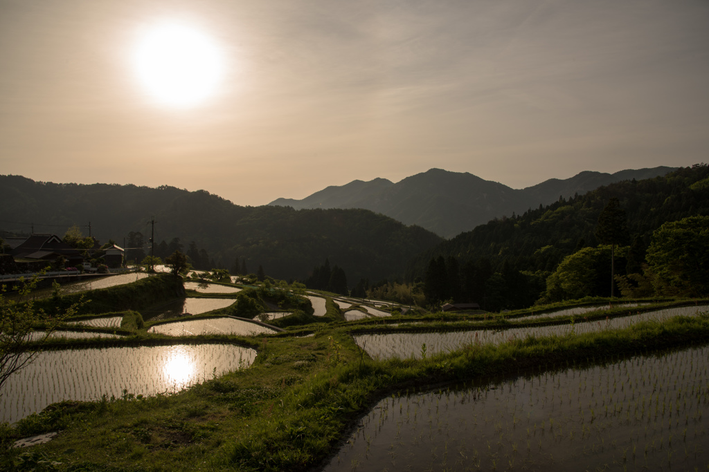 畑の棚田