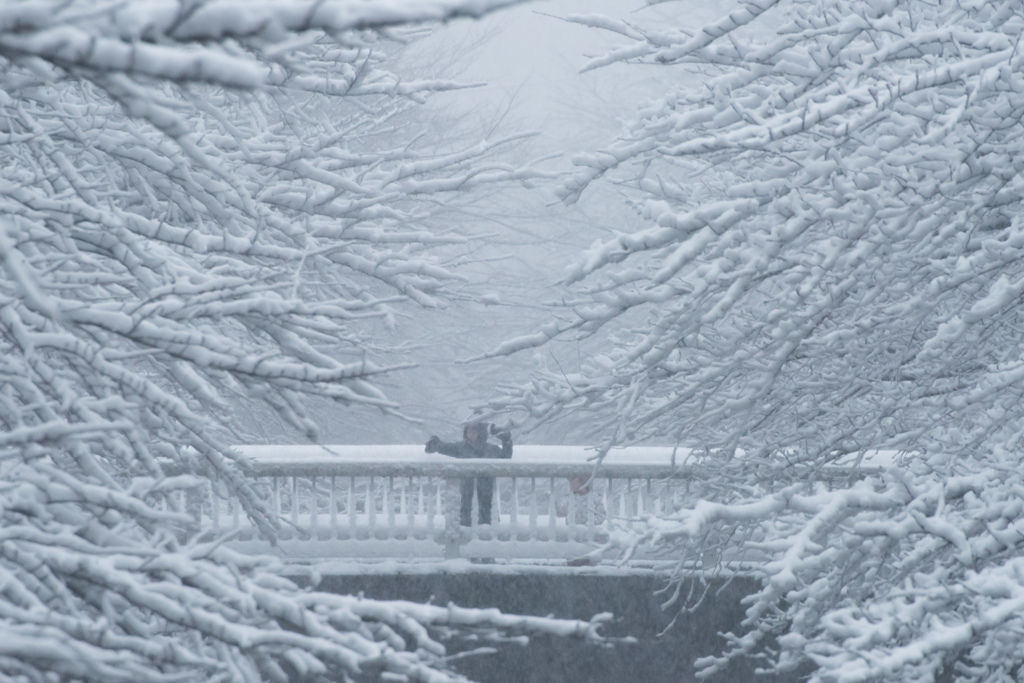 雪国