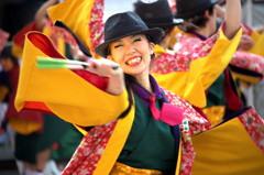 よさこいⅱ