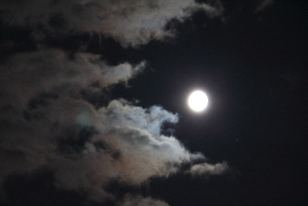full moon ⅱ