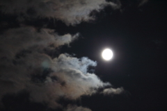 full moon ⅱ