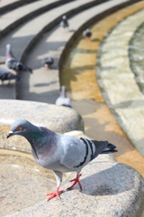 やぁ、どうも