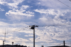 夕暮れ