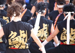 YOSAKOI2016ⅷ