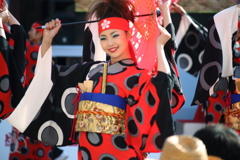 YOSAKOI2016ⅹ