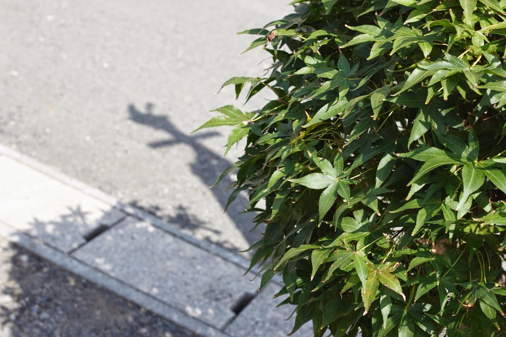 実家まえにて