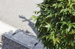 実家まえにて