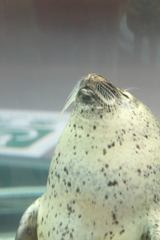 ぬーん