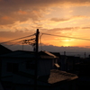 やさしいひかり
