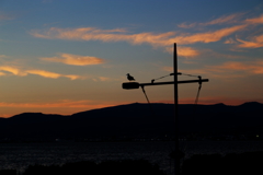 weathercock