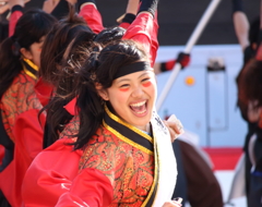 YOSAKOI2016ⅴ