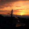 染まる