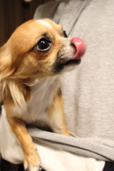 ごはん？