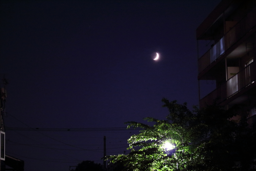 MOON