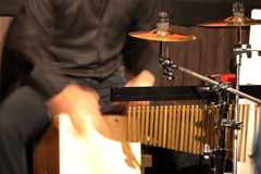 楽器いろいろ