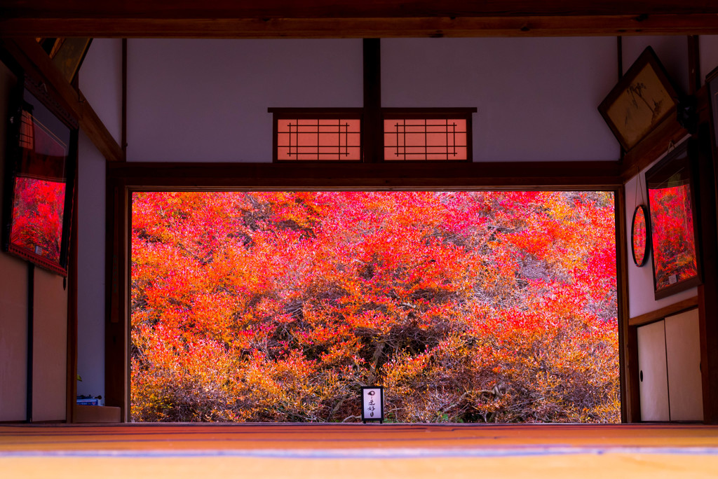 但馬安国寺