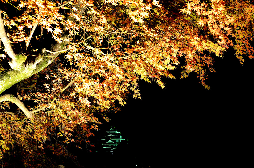 後楽園幻想庭園1