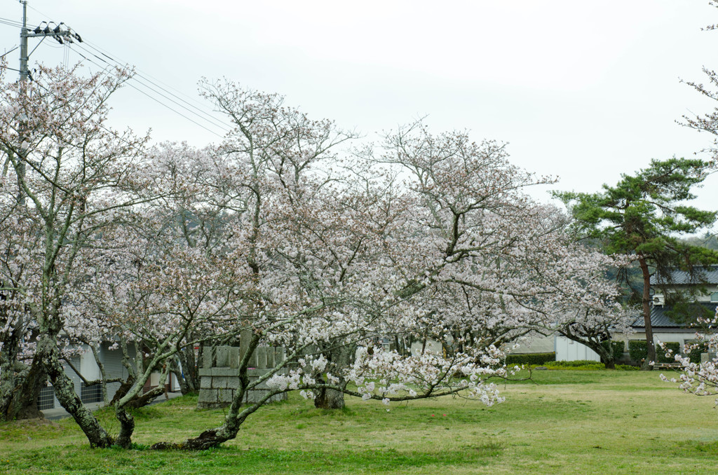 高松城址公園２