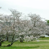 高松城址公園２