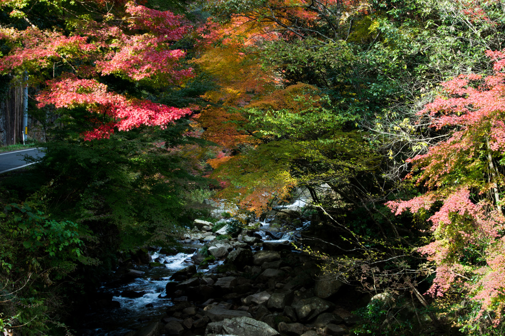 豪渓の紅葉