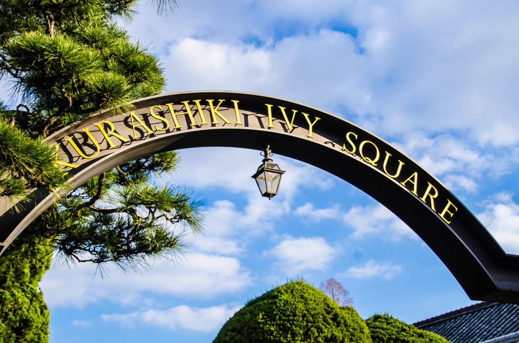 IVY SQUARE
