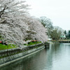 倉敷酒津公園８