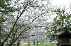 高松城址公園１