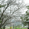 高松城址公園１