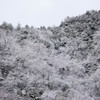 雪化粧2