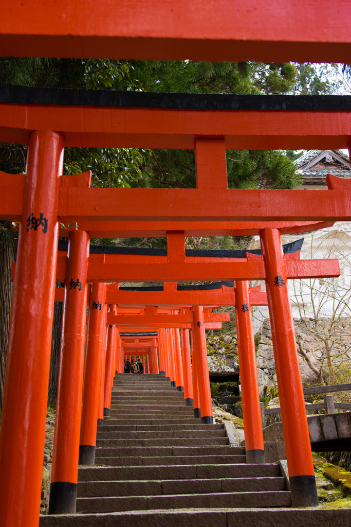 鳥居のトンネル
