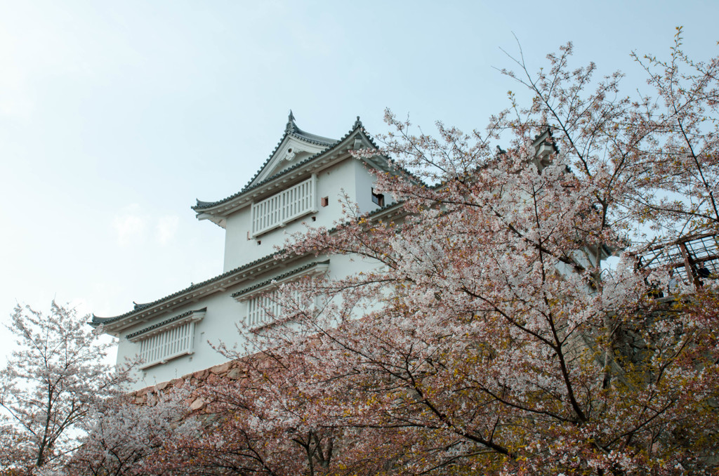 鶴山公園１