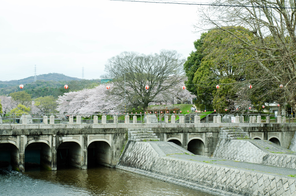 倉敷酒津公園６