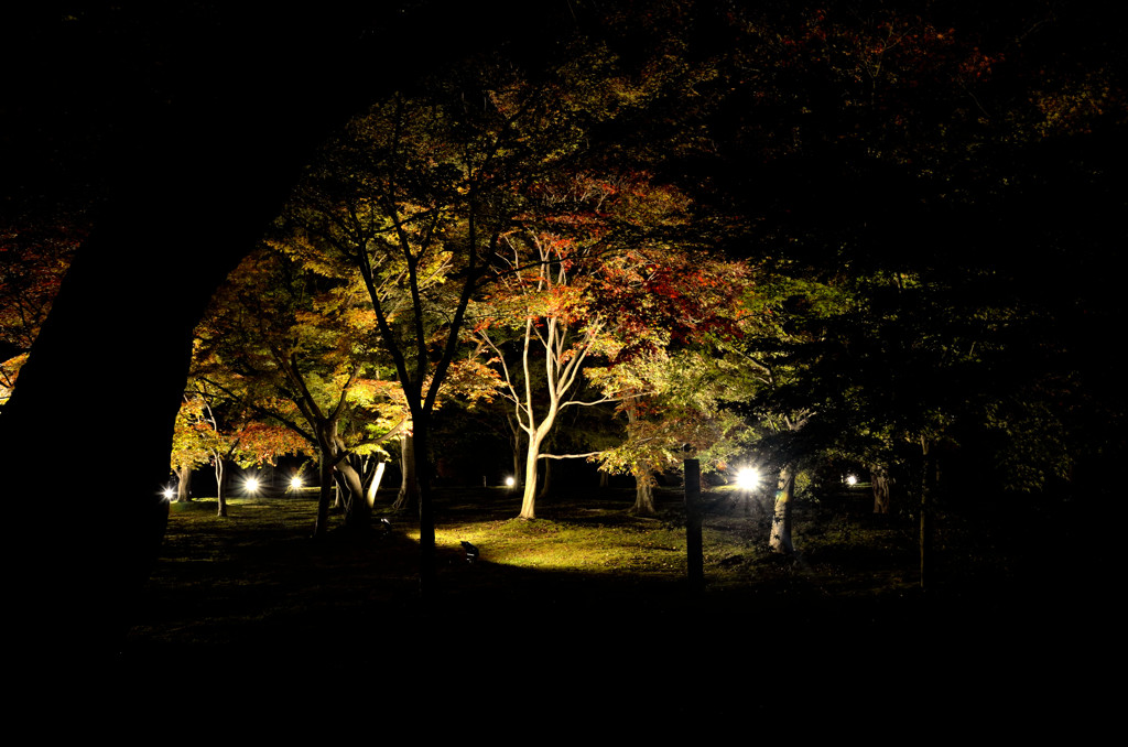 後楽園幻想庭園7