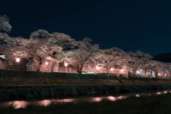 美甘宿場桜