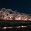 美甘宿場桜