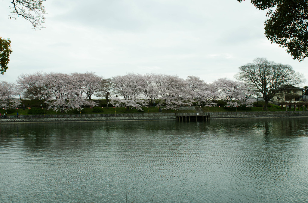 倉敷酒津公園９