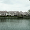 倉敷酒津公園９