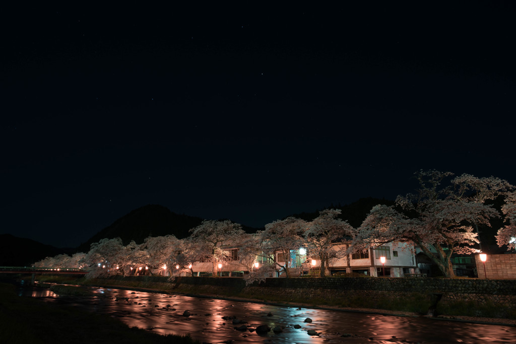 美甘宿場桜②