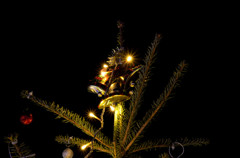 クリスマスツリー５