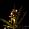 クリスマスツリー５