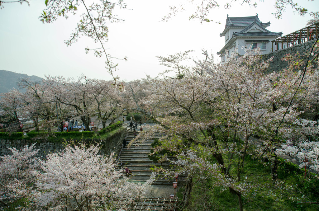 鶴山公園５