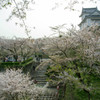鶴山公園５