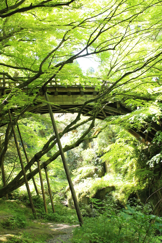 こおろぎ橋
