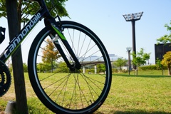 Cannondale Quick4