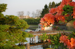 春の終わり、夕方、五稜郭